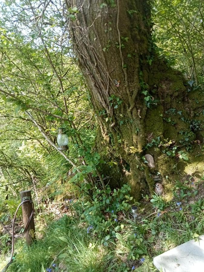 'Morris' The Shepherd'S Hut And Woodland Hot Tub Experience Carmarthen Exterior foto