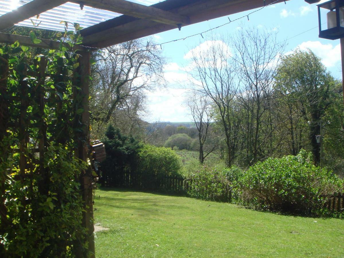 'Morris' The Shepherd'S Hut And Woodland Hot Tub Experience Carmarthen Exterior foto