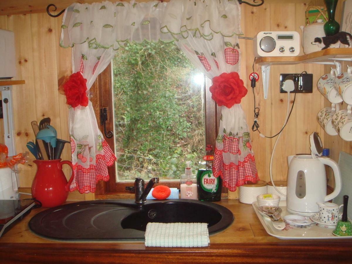 'Morris' The Shepherd'S Hut With Woodland Hot Tub Carmarthen Exterior foto