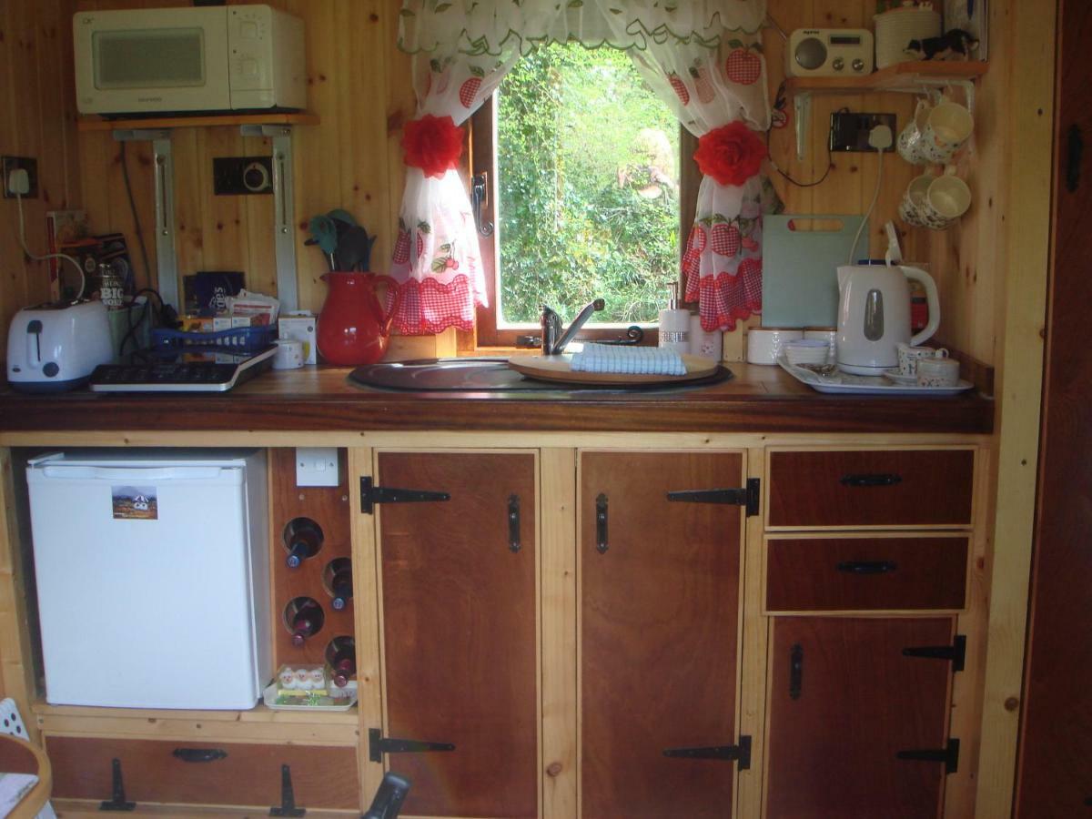 'Morris' The Shepherd'S Hut And Woodland Hot Tub Experience Carmarthen Exterior foto
