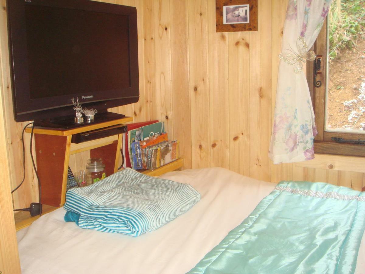 'Morris' The Shepherd'S Hut With Woodland Hot Tub Carmarthen Exterior foto