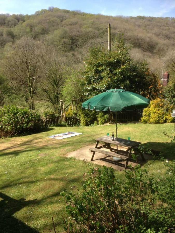 'Morris' The Shepherd'S Hut With Woodland Hot Tub Carmarthen Exterior foto