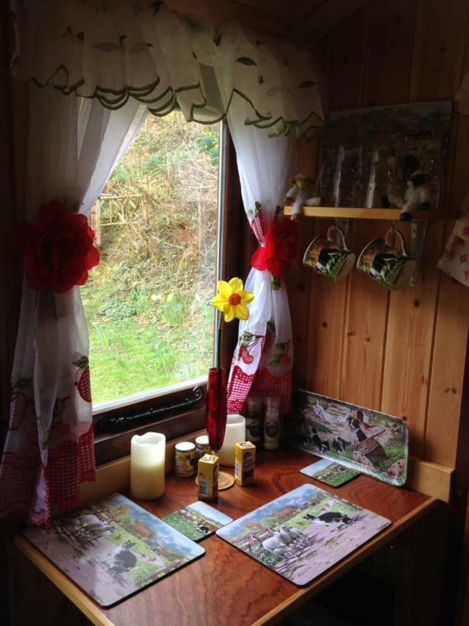 'Morris' The Shepherd'S Hut With Woodland Hot Tub Carmarthen Exterior foto