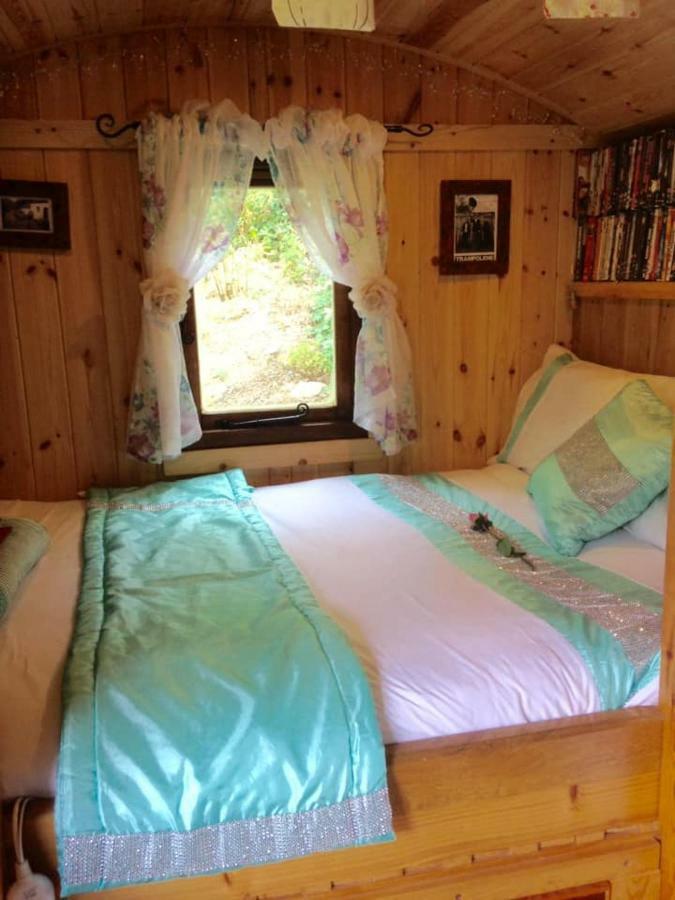 'Morris' The Shepherd'S Hut With Woodland Hot Tub Carmarthen Exterior foto