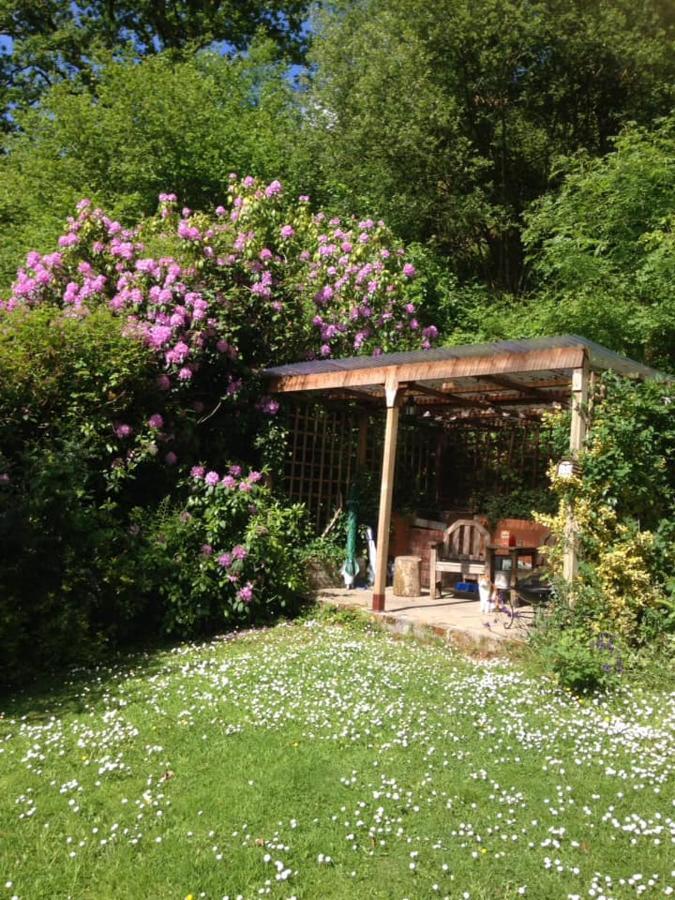 'Morris' The Shepherd'S Hut With Woodland Hot Tub Carmarthen Exterior foto